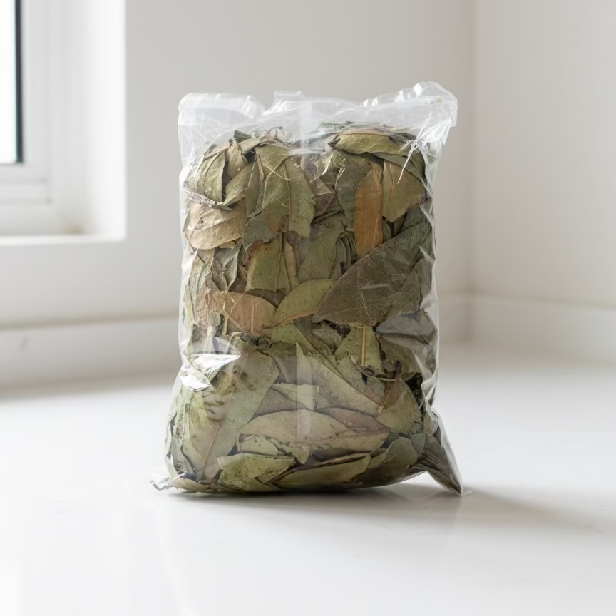 🇲🇽 Soursop Leaf Tea – 80 gram Bag