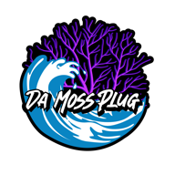 🔥 Da Moss Plug | Premium Jamaican Sea Moss Gel for Optimal Health 🌱