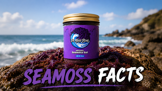 Wildcrafted Jamaican Sea Moss Gel Facts