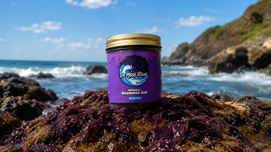 Why Sea Moss From the Rocks Matters