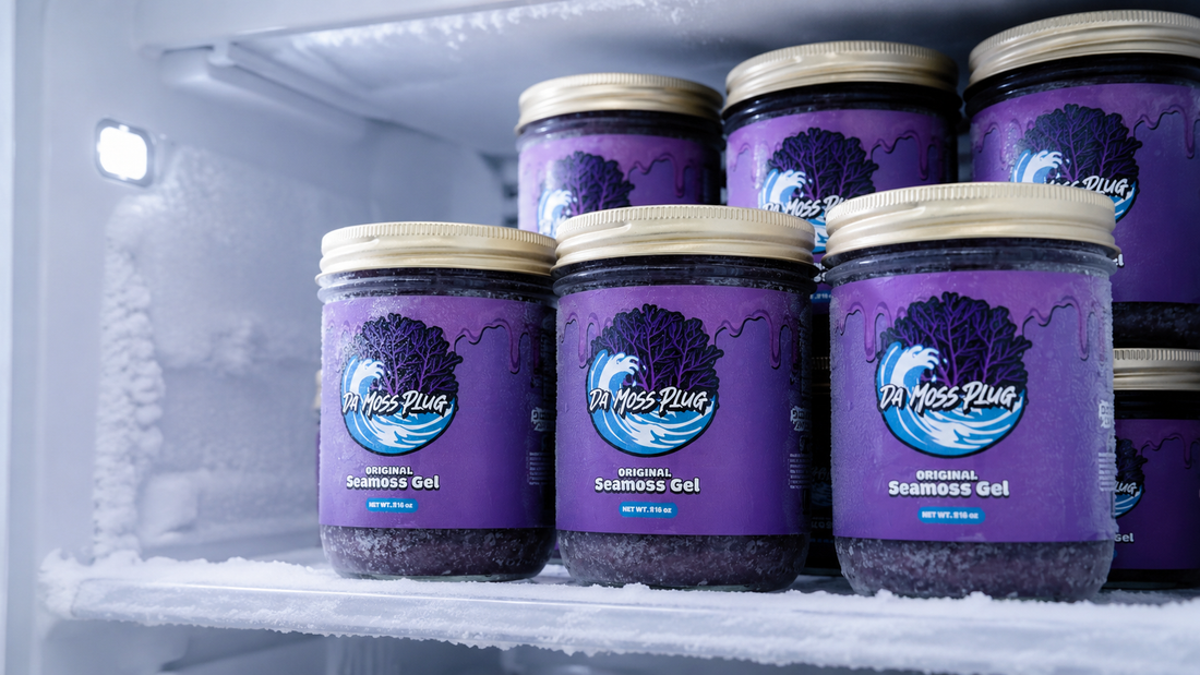 How to Store Sea Moss Gel the Right Way