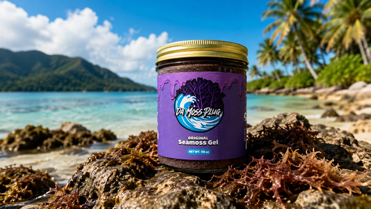Jamaican Sea Moss Benefits That Matter