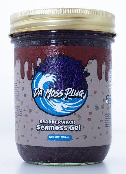 Bladderwack Sea Moss 16 oz. Jar