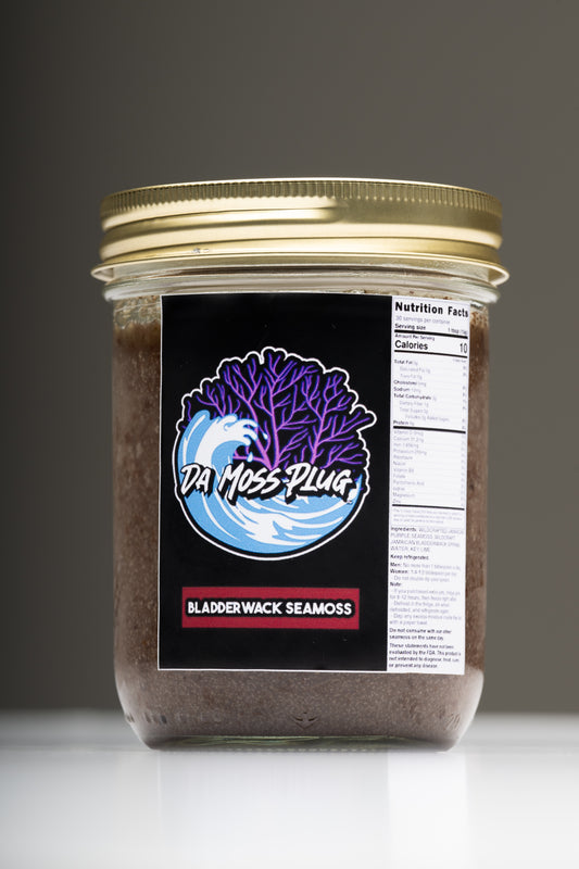 Bladderwack Sea Moss