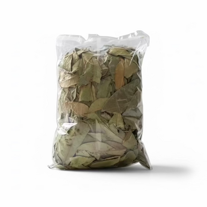 🇲🇽 Soursop Leaf Tea – 80 gram Bag