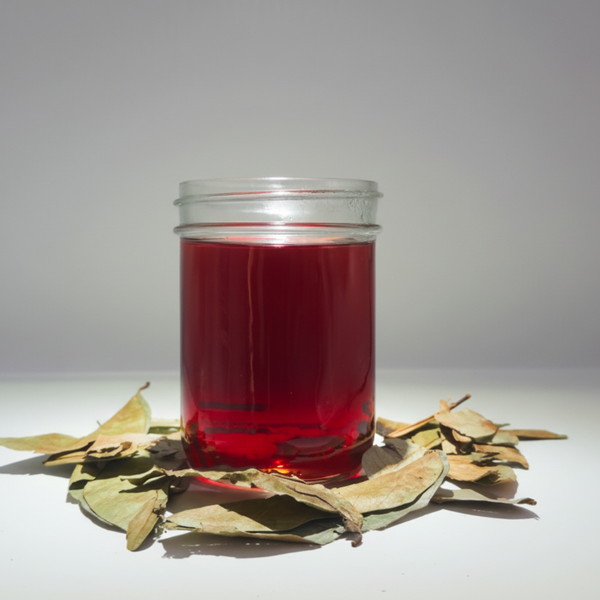 🇲🇽 Soursop Leaf Tea – 80 gram Bag