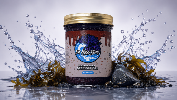 Bladderwrack Sea Moss Gel