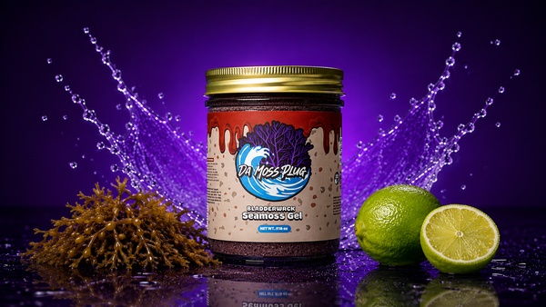 Bladderwrack Sea Moss Gel
